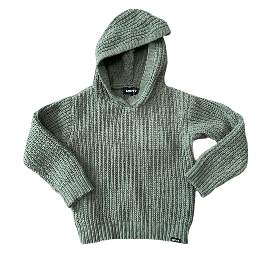 DKNY Toddler Hoodie