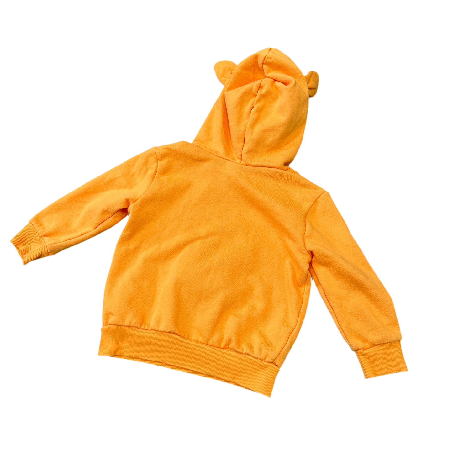 Tigger Hoodie