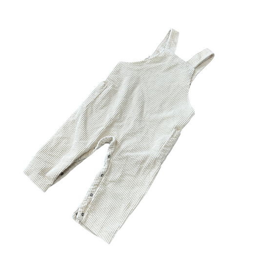 Pooh Overalls