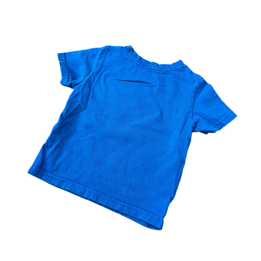 Frog Tee